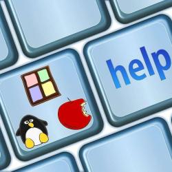It Advisor