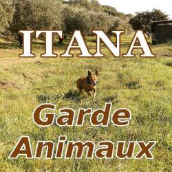 Itana Garde Animaux