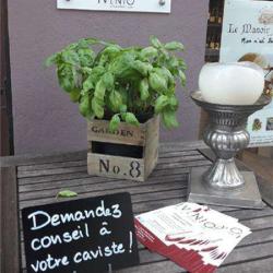 Ivinio