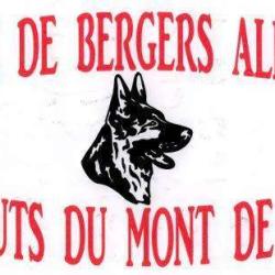 Elevage  Des Hauts Du Mont De Plasne