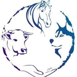 Jade Tardieu - Ostéopathie Animale