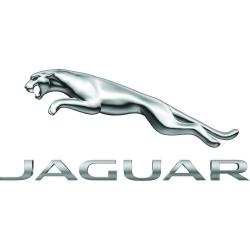 Jaguar Fréjus
