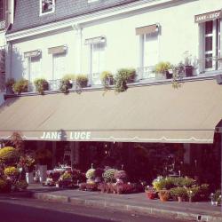 Jane-luce