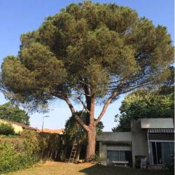 Jardi-vert Mr Michelet
