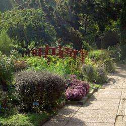 Jardin Botanique