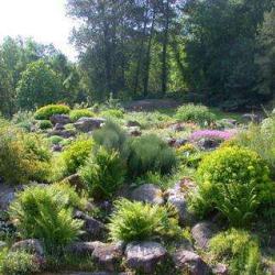 Jardin Botanique Du Montet