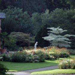 Jardin Botanique
