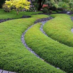 Jardin Botanique