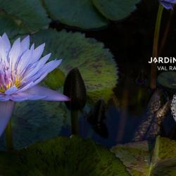 Jardin Botanique Val Rahmeh-menton