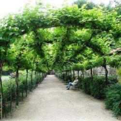 Jardin Catherine Labouré