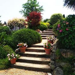 Jardin Concept
