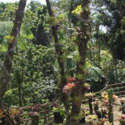 Jardin De Balata