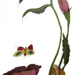 Jardin De Beauté
