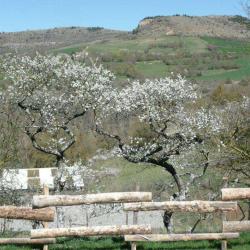 Jardin De Cocagne – Lozère