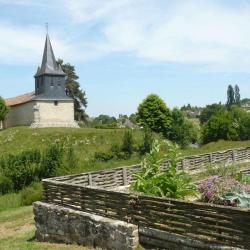 Jardin De L'an Mil à Nos Jours