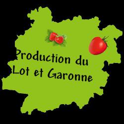Jardin De Romas