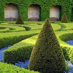 Jardin De Style