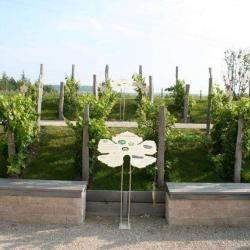 Jardin De Vignes