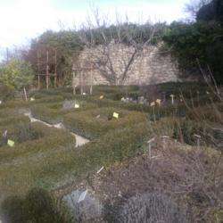 Jardin Des Herbes