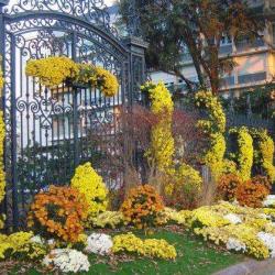 Jardin Des Plantes