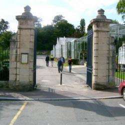 Jardin Des Plantes