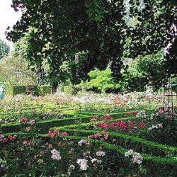 Jardin Des Plantes De Rouen