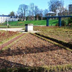 Jardin Des Plantes