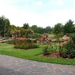 Jardin Des Plantes