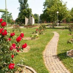 Jardin Des Plantes