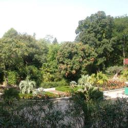 Jardin Des Plantes