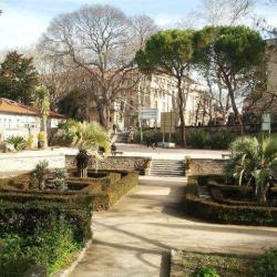 Jardin Des Plantes