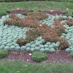 Jardin Des Plantes