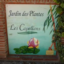Jardin Des Plantes