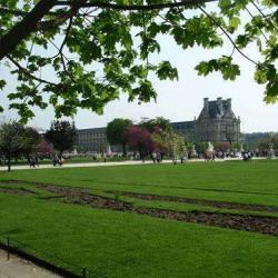 Jardin Des Tuileries