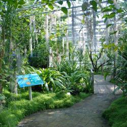 Jardin Du Conservatoire Botanique