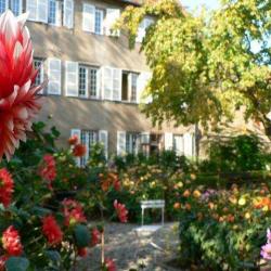Jardin Du Dahlia