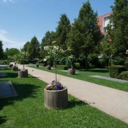 Jardin Du Moulin De La Pointe - Paul Quilès
