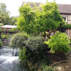 Jardin Du Moulin Ventin