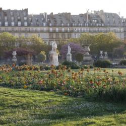 Jardin Du Musée Eugène Delacroix