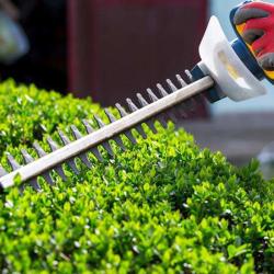 Moustaches & Crineres Jardinerie