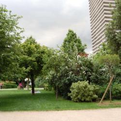 Jardin Du Moulin De La Pointe - Paul Quilès