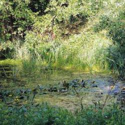 Jardin Naturel Pierre Emmanuel