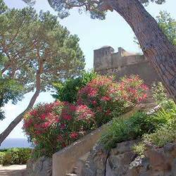 Jardin Romieu
