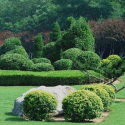 Jardin Vert Eden