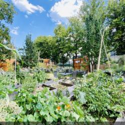 Jardin21
