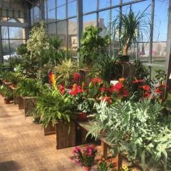 Jardinerie André