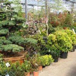Jardinerie D'hesdigneul