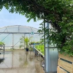 Jardinerie Horticat