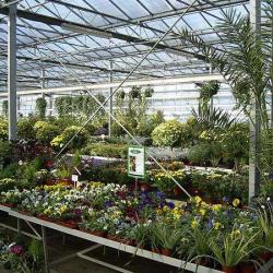Jardinerie Issler