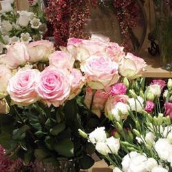 Jardinerie Joll'y-fleur